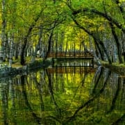 Covão D'ametade 01 Foto Ricardo Costa