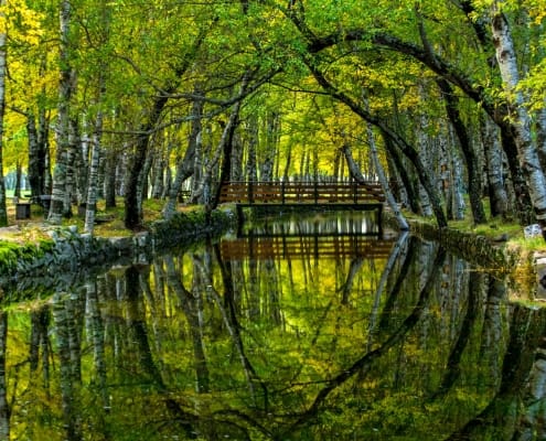 Covão D'ametade 01 Foto Ricardo Costa