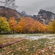 Covão D'ametade 04 Foto António Ramos