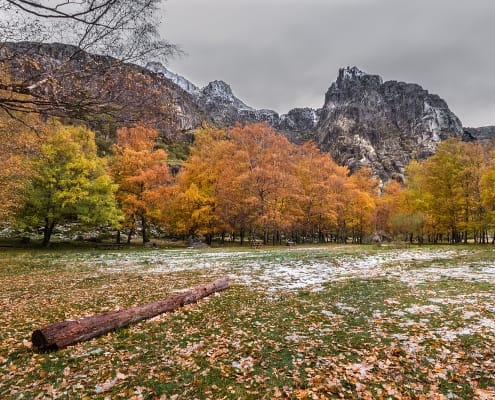 Covão D'ametade 04 Foto António Ramos