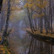 Covão D'ametade 05 Foto Carlos Tenente