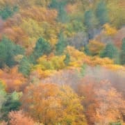 Faias De São Lourenço 02 Foto Hélio Cristóvão