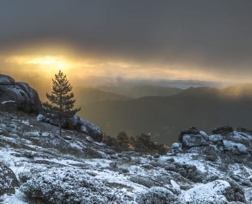 Penhas Douradas 02 Foto Sónia Almeida